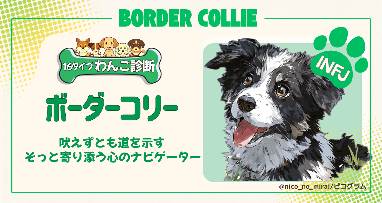 ボーダーコリータイプの解説 | ピコグラム診断